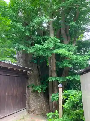 円覚寺(青森県)
