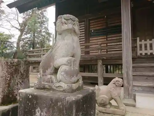 橘樹神社の狛犬