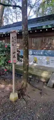 堤治神社(愛知県)