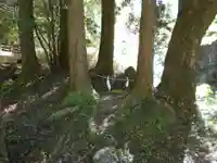 色見熊野座神社の自然