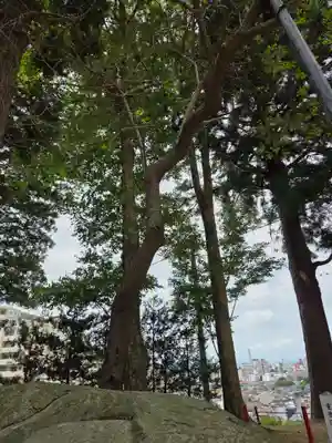 盛岡天満宮(岩手県)