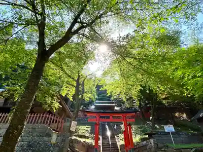 白鳥神社の鳥居