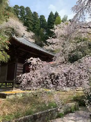 成願寺(千葉県)