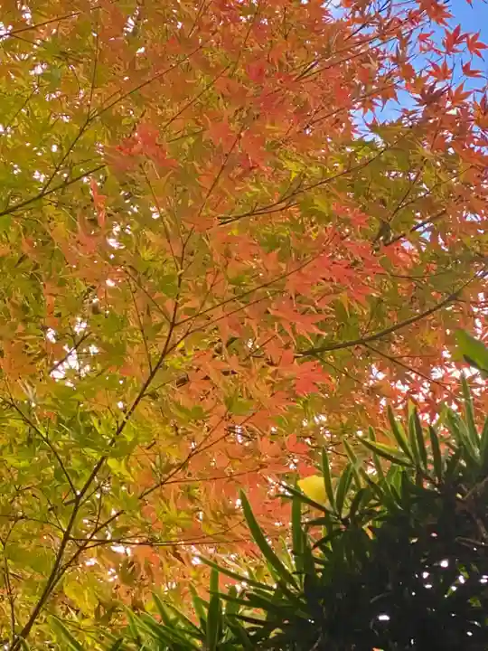 木食寺安祥院(京都府)