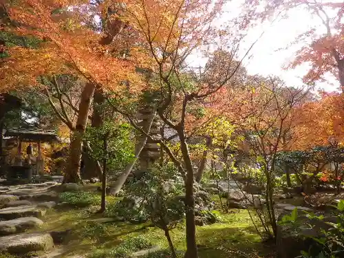 覚園寺の庭園