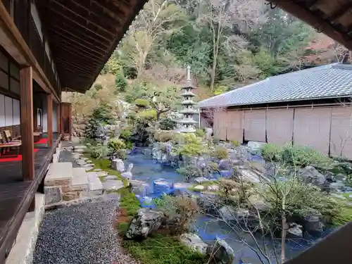 興聖寺（興聖寶林禅寺）の庭園