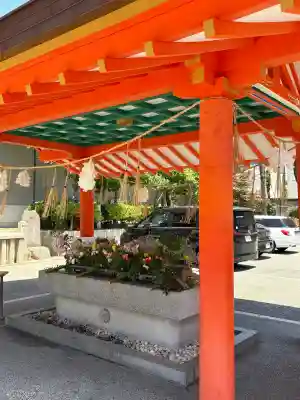 生田神社の{uncategorized: "未分類", other: "その他", undefined: "問題あり", building: "その他建物", grave: "お墓", sacred_gate: "鳥居", guardian: "狛犬", statue: "像", buddha: "仏像", history: "歴史", nature: "自然", garden: "庭園", animal: "動物", pagoda: "塔", temizu: "手水舎", mountain_gate: "山門・神門", sanctuary: "本殿・本堂", subordinate: "末社・摂社", art: "芸術", scenery: "景色", jizo: "地蔵", ema: "絵馬", goshuin: "御朱印", omikuji: "おみくじ", items: "授与品その他", amulet: "お守り", goshuincho: "御朱印帳", eats: "食事", festival: "お祭り", votive_dance: "神楽", shichigosan: "七五三参", wedding: "結婚式", experience: "体験その他", initially: "初詣", around: "周辺", anti_infection: "感染症対策"}