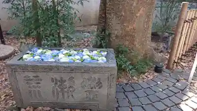 行田八幡神社(埼玉県)