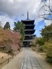 仁和寺(京都府)