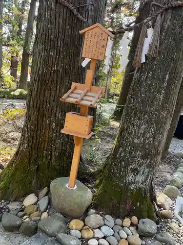 大崎八幡宮(宮城県)