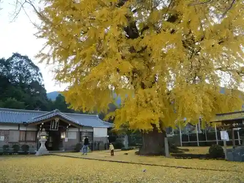 丹生酒殿神社のその他建物