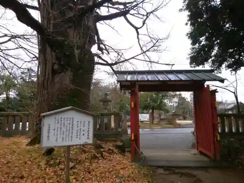 一之宮貫前神社(群馬県)