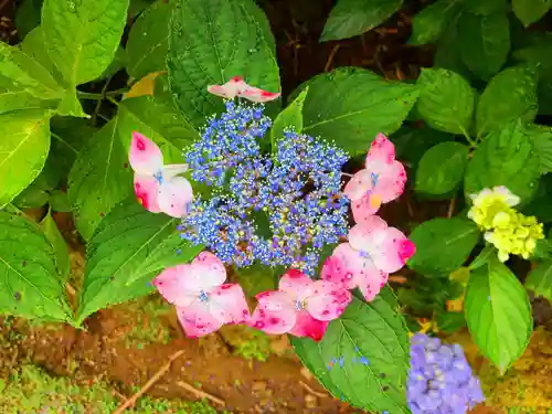 千光寺(福岡県)