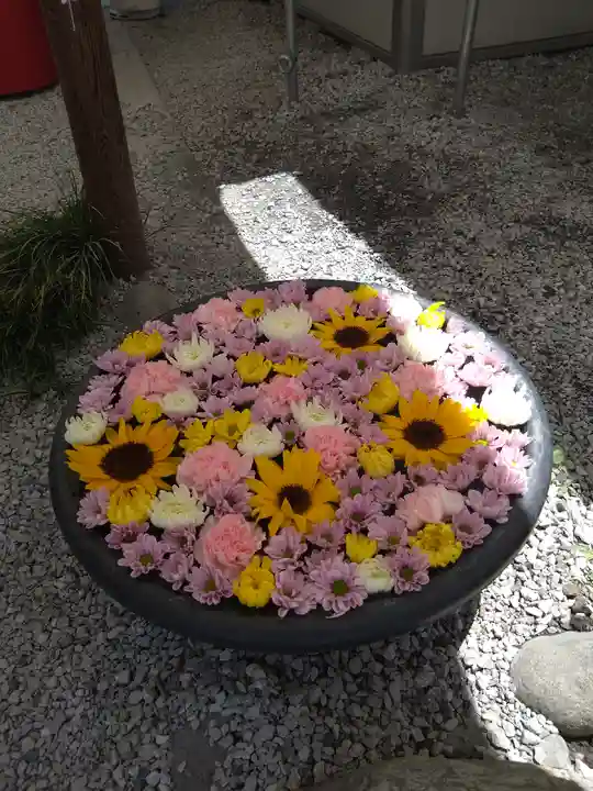 埼玉厄除け開運大師・龍泉寺(切り絵御朱印発祥の寺)(埼玉県)