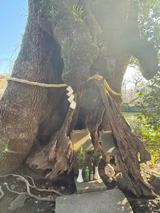 三嶋大社(静岡県)