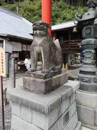 太平山神社の狛犬