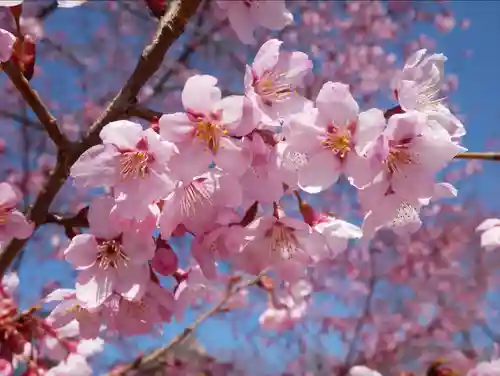 眞田神社の自然