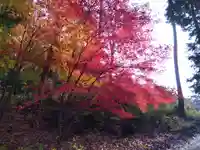 鶏足寺(滋賀県)