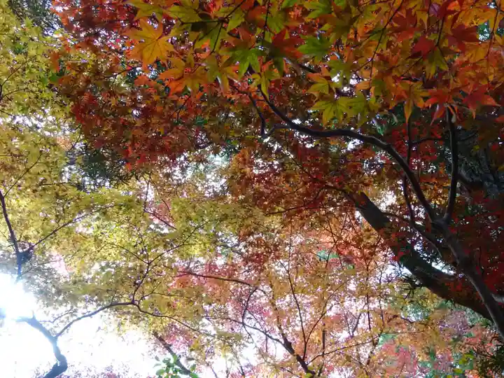 覚園寺(神奈川県)