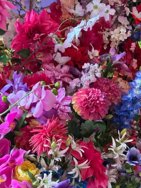 隨心院(随心院)の{uncategorized: "未分類", other: "その他", undefined: "問題あり", building: "その他建物", grave: "お墓", sacred_gate: "鳥居", guardian: "狛犬", statue: "像", buddha: "仏像", history: "歴史", nature: "自然", garden: "庭園", animal: "動物", pagoda: "塔", temizu: "手水舎", mountain_gate: "山門・神門", sanctuary: "本殿・本堂", subordinate: "末社・摂社", art: "芸術", scenery: "景色", jizo: "地蔵", ema: "絵馬", goshuin: "御朱印", omikuji: "おみくじ", items: "授与品その他", amulet: "お守り", goshuincho: "御朱印帳", eats: "食事", festival: "お祭り", votive_dance: "神楽", shichigosan: "七五三参", wedding: "結婚式", experience: "体験その他", initially: "初詣", around: "周辺", anti_infection: "感染症対策"}