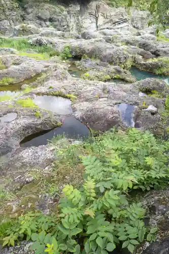 赤池龍神辯財天(岐阜県)
