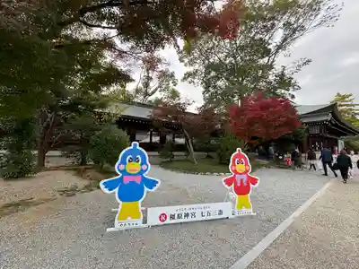 橿原神宮(奈良県)