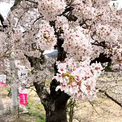 高司神社〜むすびの神の鎮まる社〜(福島県)