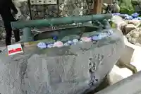 岡寺(龍蓋寺)の手水舎