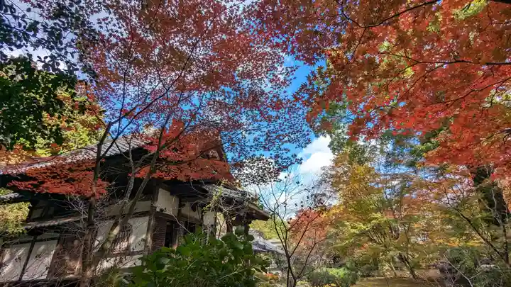 十輪寺(京都府)