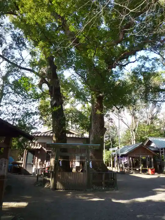 河邊七種神社の自然