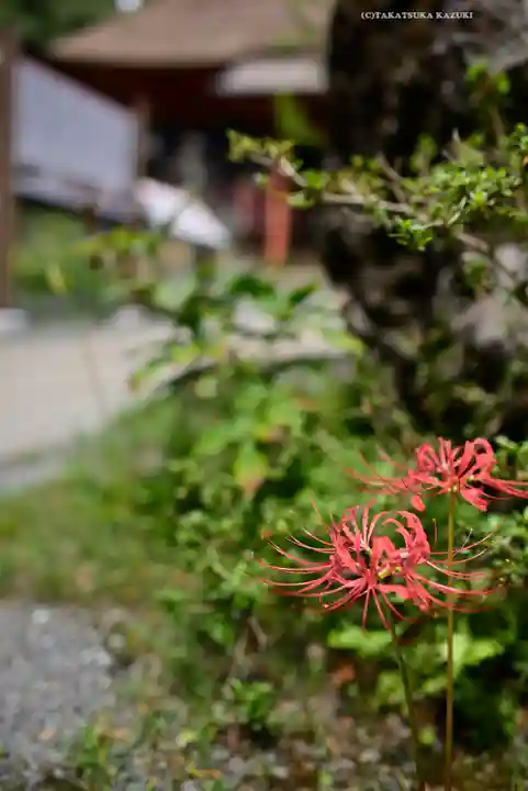 宝城坊(神奈川県)