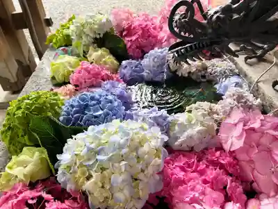 札幌諏訪神社の手水舎