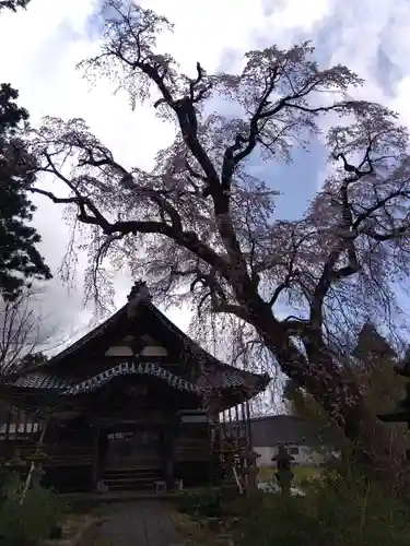 日朝寺(新潟県)