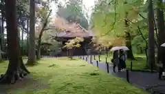 三千院門跡の庭園