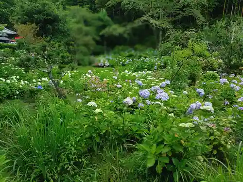 極楽寺(静岡県)