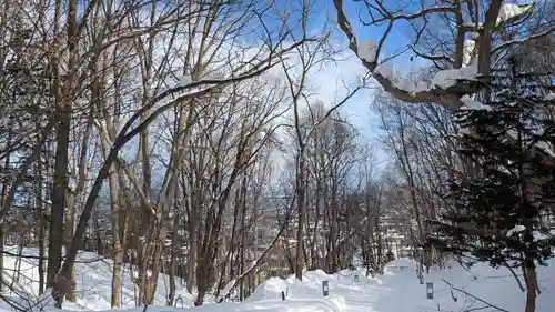 鷹栖神社の景色