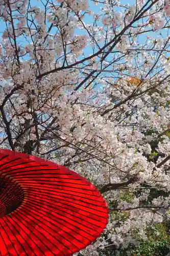夜疑神社(大阪府)