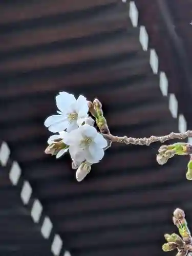 熊野神社(東京都)