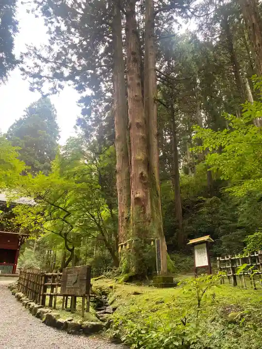 御岩神社(茨城県)