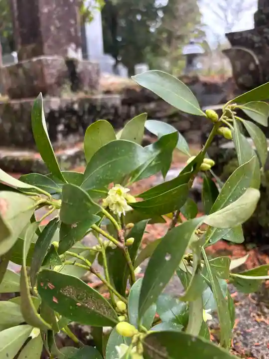 徹心寺(兵庫県)