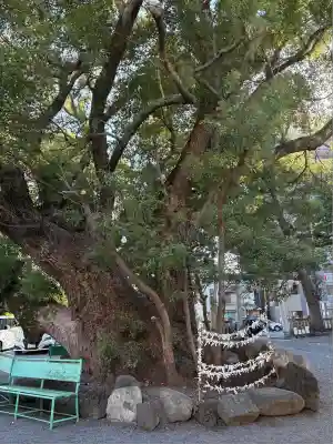 伊河麻神社(静岡県)