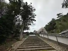 山王宮日吉神社(京都府)