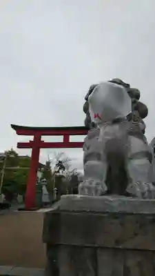 鶴岡八幡宮の狛犬
