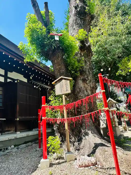 三輪神社(愛知県)