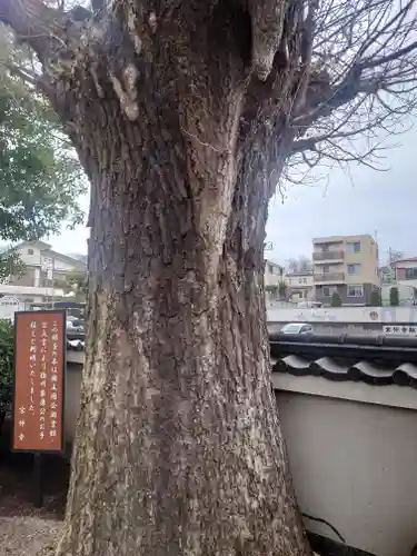 宗仲寺(神奈川県)