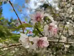 普門寺(切り絵御朱印発祥の寺)(愛知県)