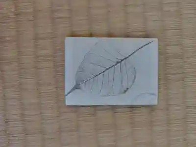 圓蔵寺(埼玉県)