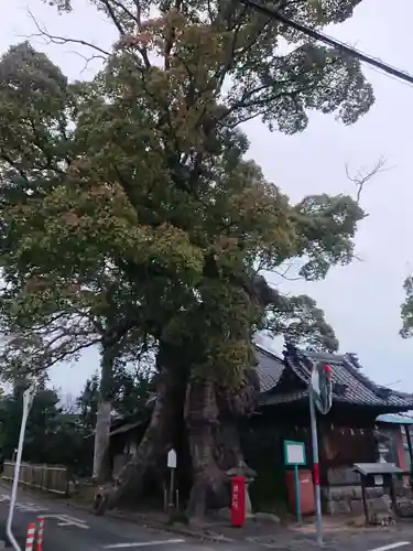 観音寺(愛知県)