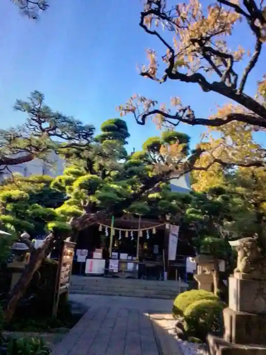 鳩森八幡神社の本殿・本堂