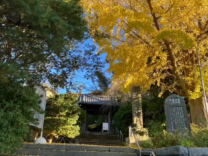 安國論寺(安国論寺)(神奈川県)